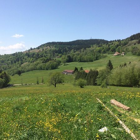 Saulxures-sur-Moselotte La Ferme De Jean Entre Lacs Et Montagnes المظهر الخارجي الصورة