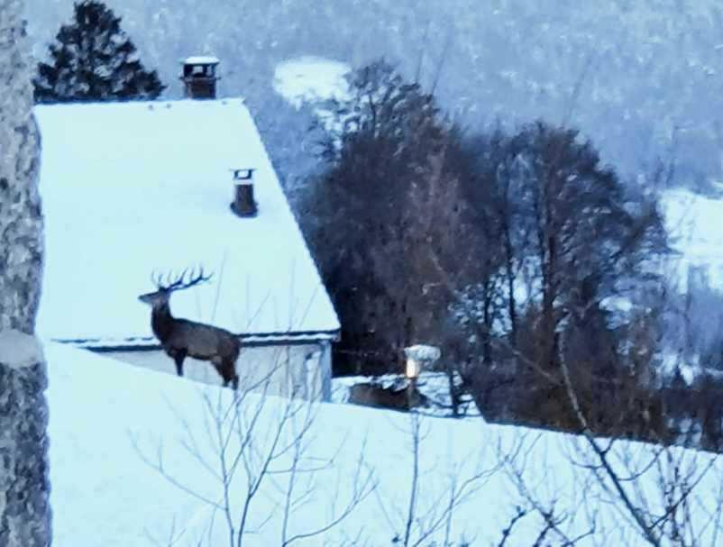Saulxures-sur-Moselotte La Ferme De Jean Entre Lacs Et Montagnes المظهر الخارجي الصورة