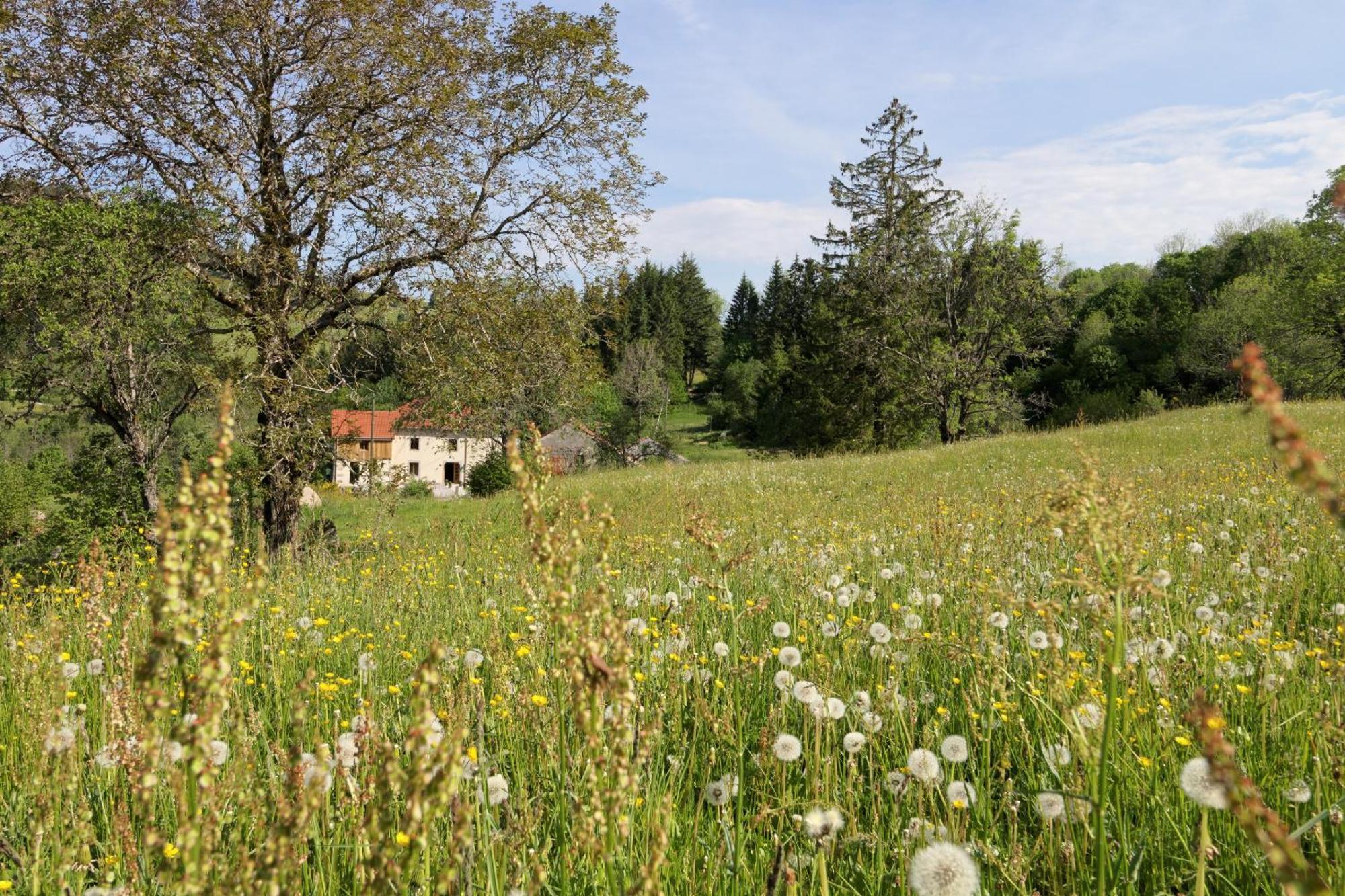 Saulxures-sur-Moselotte La Ferme De Jean Entre Lacs Et Montagnes المظهر الخارجي الصورة