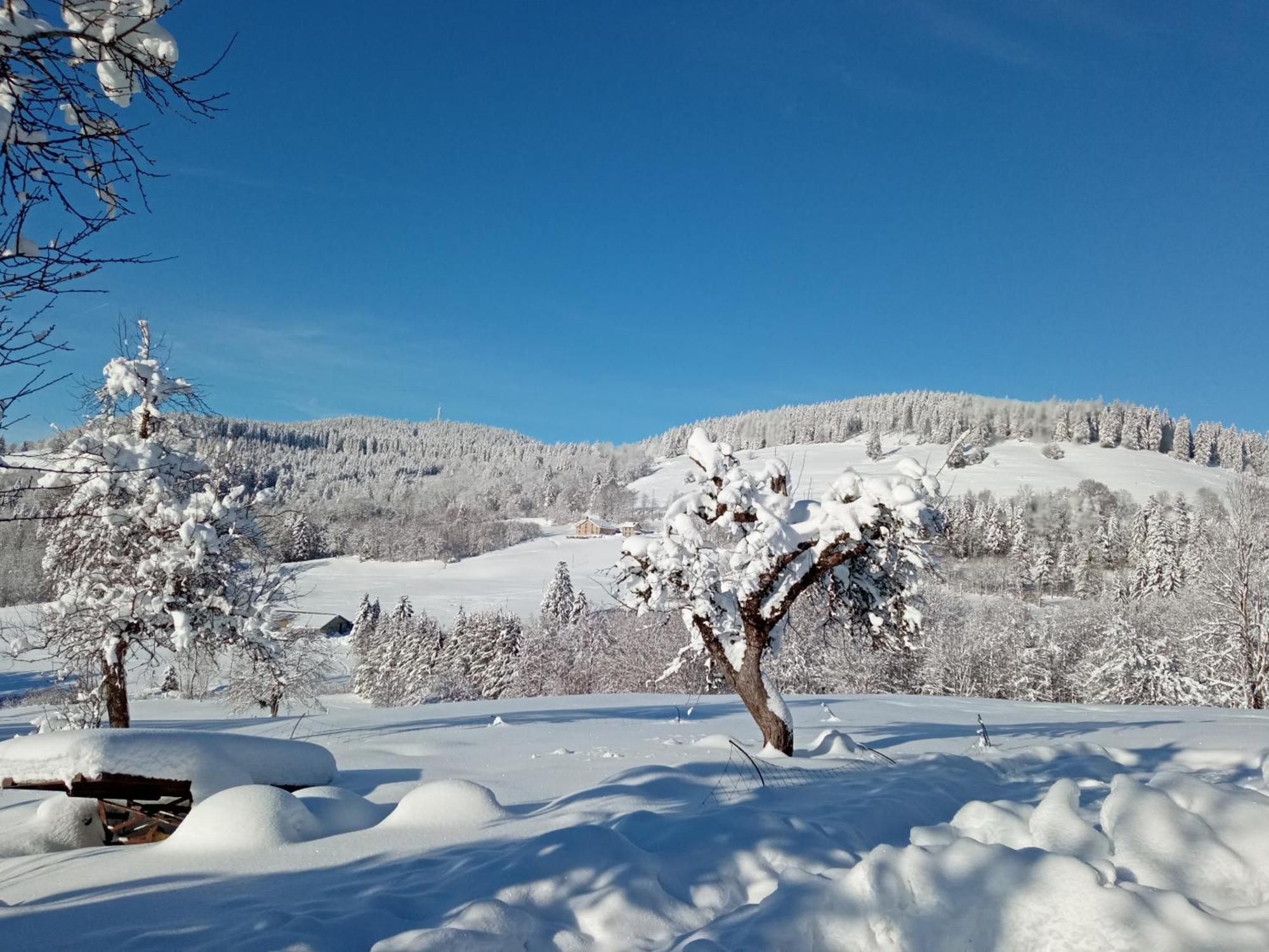 Saulxures-sur-Moselotte La Ferme De Jean Entre Lacs Et Montagnes المظهر الخارجي الصورة