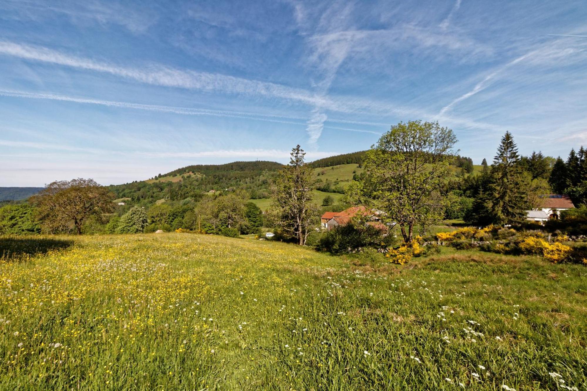 Saulxures-sur-Moselotte La Ferme De Jean Entre Lacs Et Montagnes المظهر الخارجي الصورة