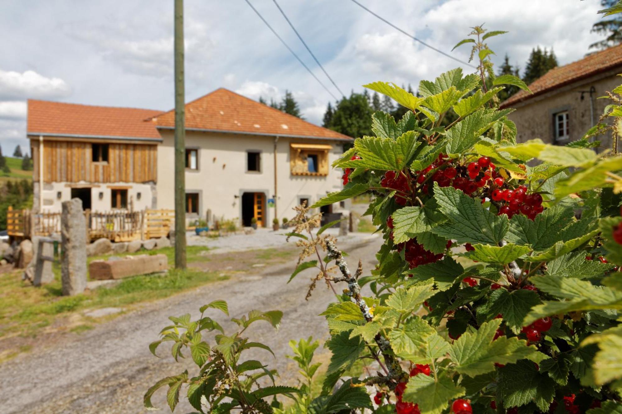 Saulxures-sur-Moselotte La Ferme De Jean Entre Lacs Et Montagnes المظهر الخارجي الصورة