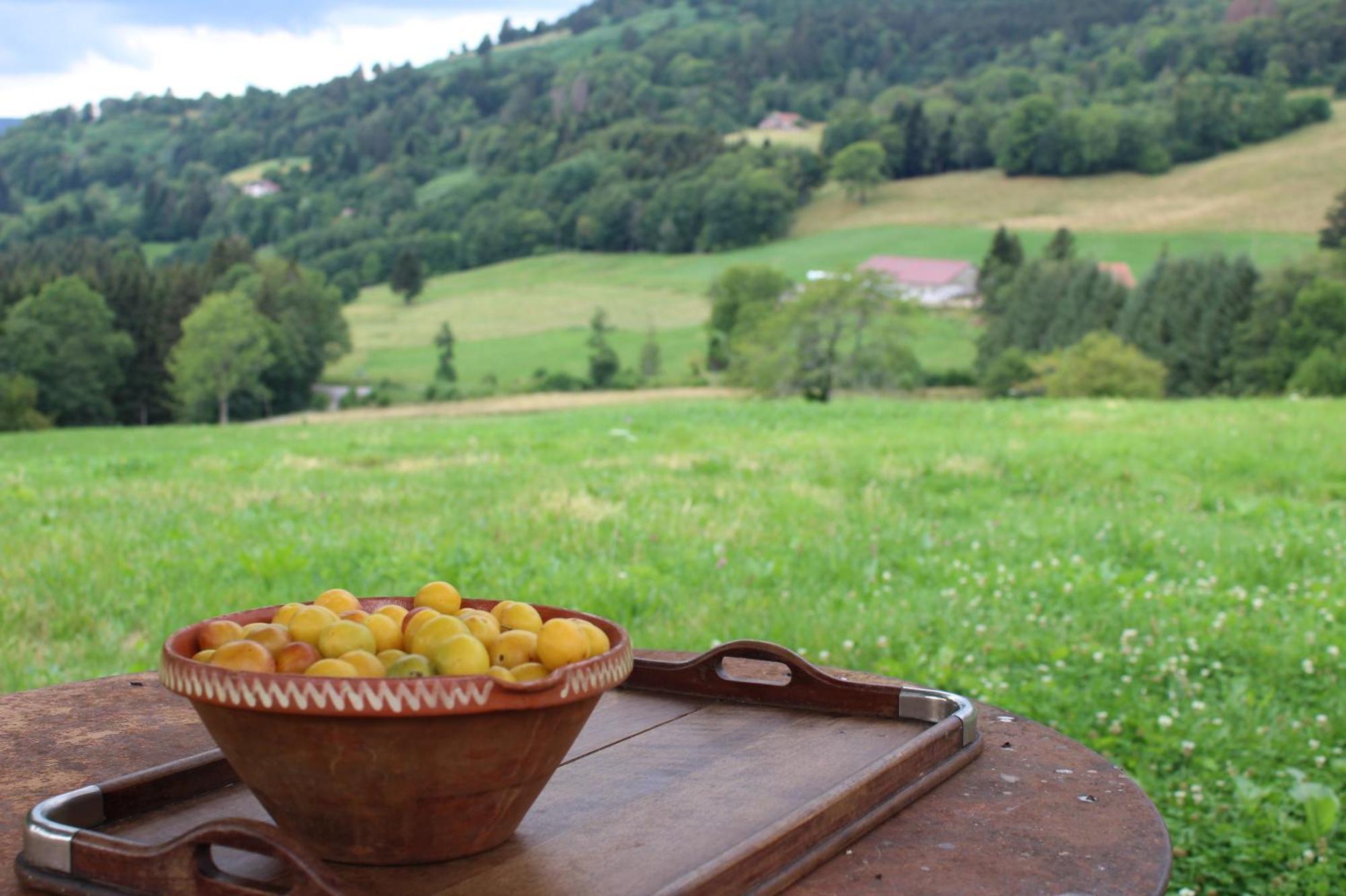 Saulxures-sur-Moselotte La Ferme De Jean Entre Lacs Et Montagnes المظهر الخارجي الصورة